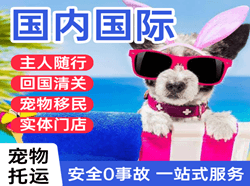郑州机场快递国际宠物托运 【国